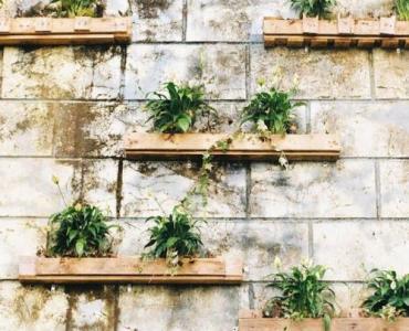 Zielona ściana na balkonie: stwórz własny ogród wertykalny DIY krok po kroku