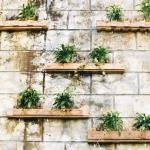 Zielona ściana na balkonie: stwórz własny ogród wertykalny DIY krok po kroku