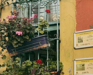 Balkon w nieustannym rozkwicie: sprawdzone gatunki, które kwitną całe lato