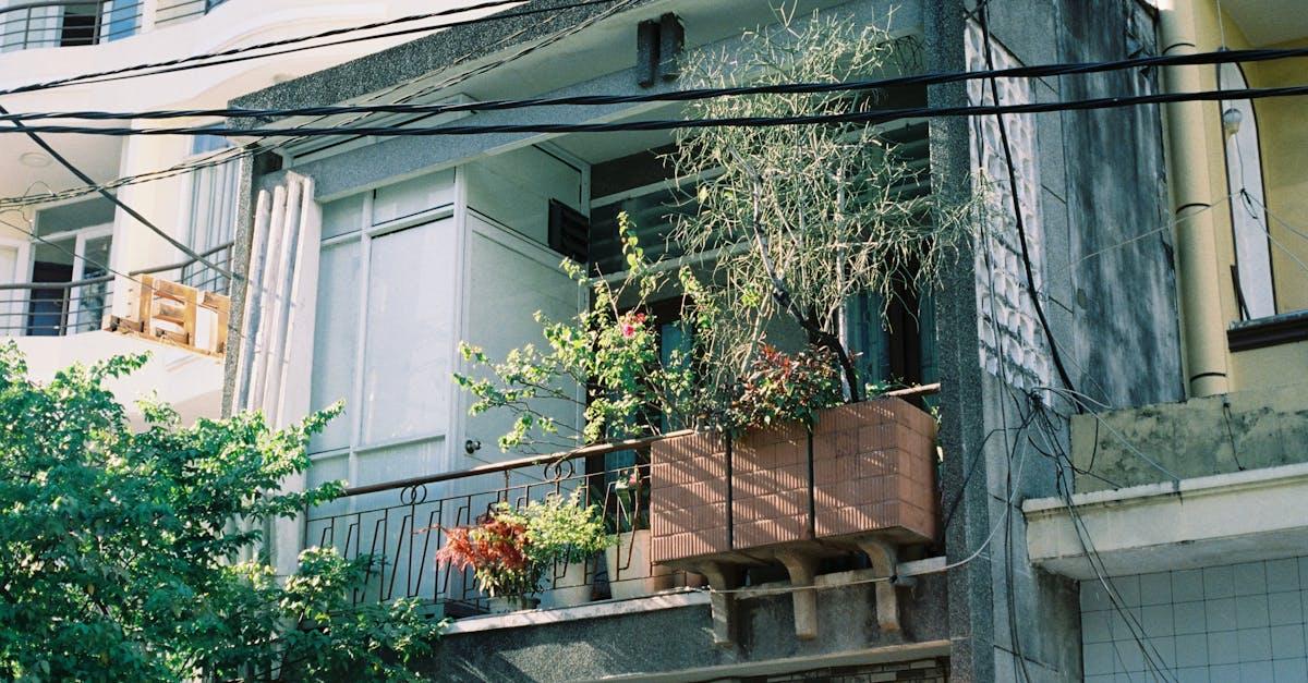 Balkon pełen aromatu: Kompletny przewodnik od nasion do ziołowego raju