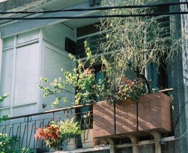 Balkon pełen aromatu: Kompletny przewodnik od nasion do ziołowego raju