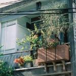 Balkon pełen aromatu: Kompletny przewodnik od nasion do ziołowego raju